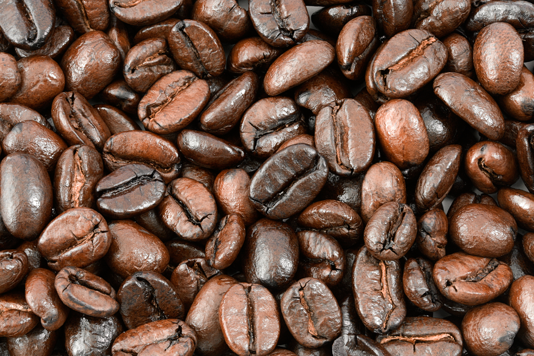 File Roasted Coffee Beans Texture jpg Wikimedia Commons