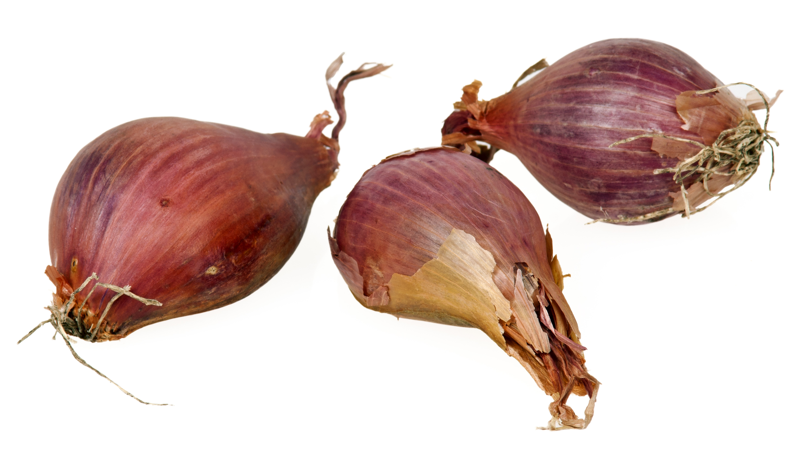 What Are Shallots?