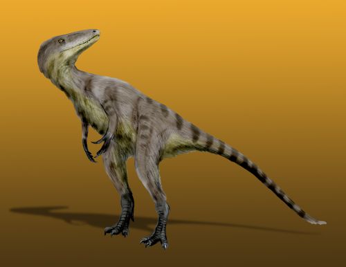 File:Xiongguanlong NT.jpg