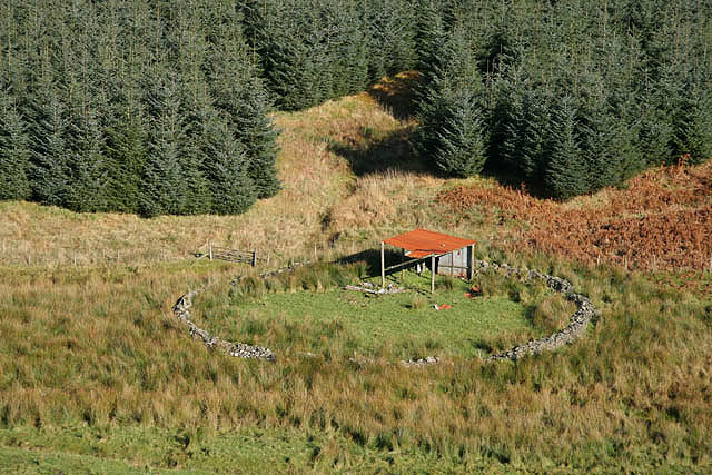 File:A sheepfold by the Coom Burn - geograph.org.uk - 1030194.jpg