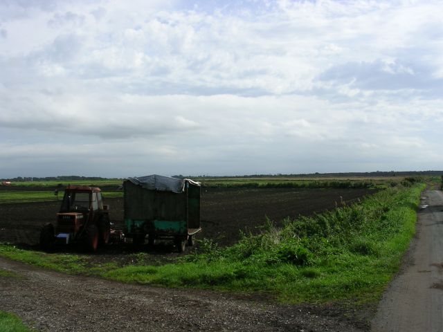 File:Across the Moss - geograph.org.uk - 58370.jpg