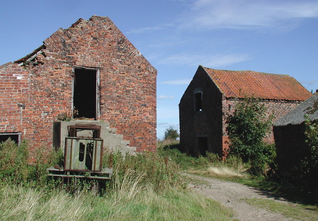 File:Black Bush - geograph.org.uk - 561075.jpg