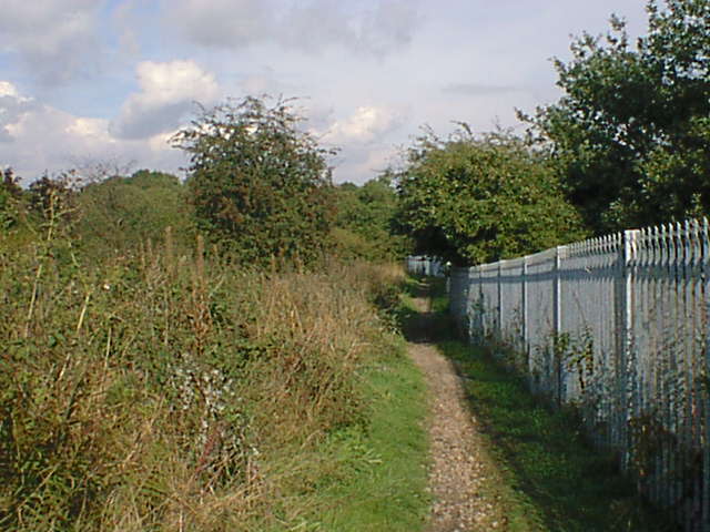 File:Black Pad Footpath - geograph.org.uk - 304459.jpg