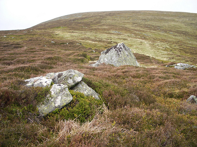 File:Braes of Ben Tirran - geograph.org.uk - 180502.jpg