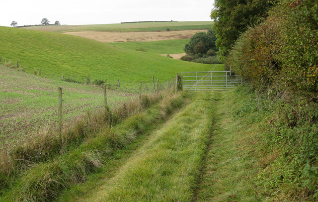 File:Bridleway to Normanby-le-Wold - geograph.org.uk - 1539681.jpg