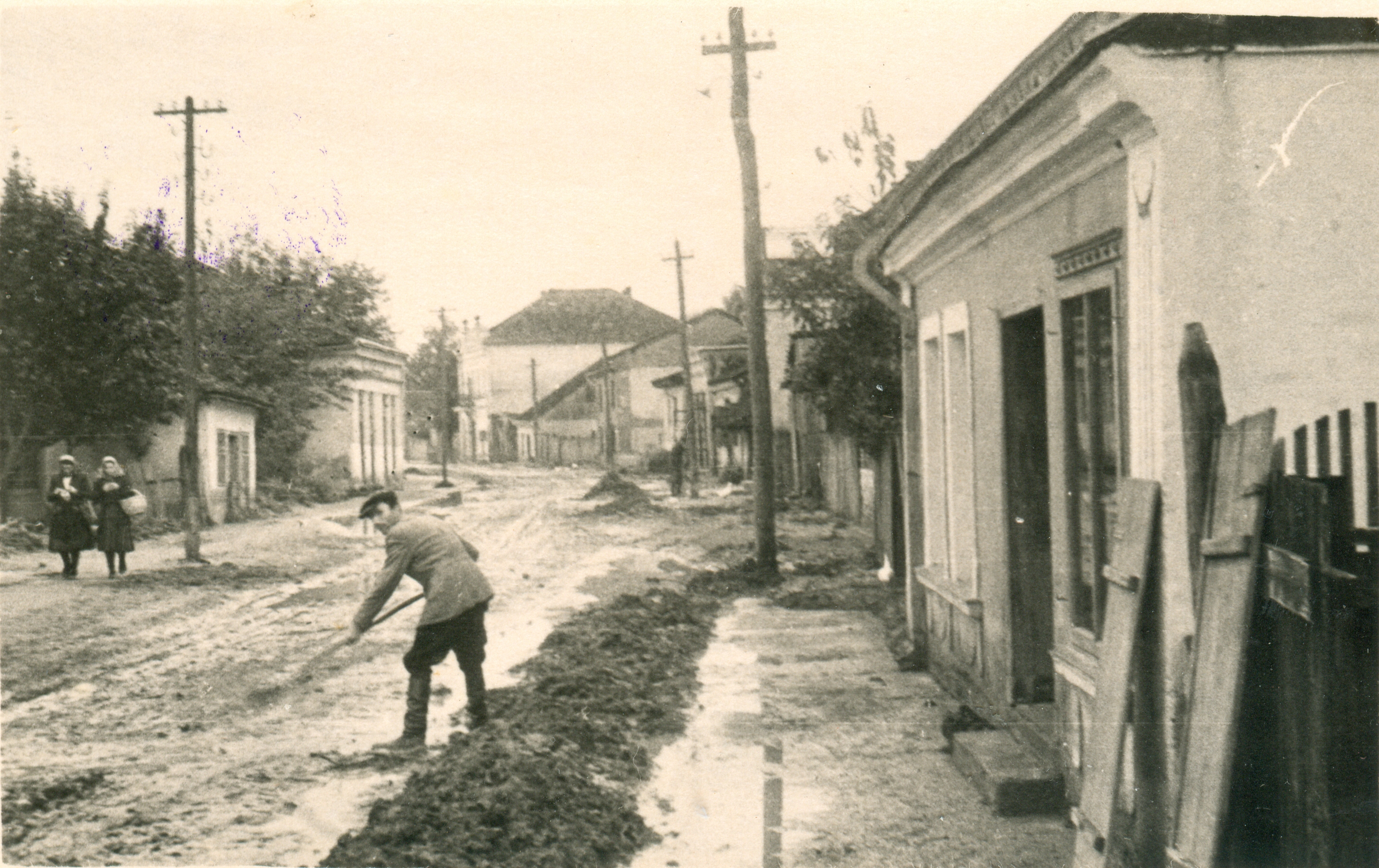 бачка паланка сербия