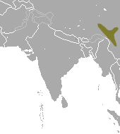 File:Chinese Highland Shrew area.png