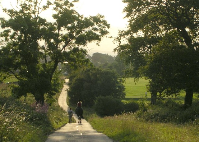 File:Country Lane beside Golf Course - geograph.org.uk - 48117.jpg