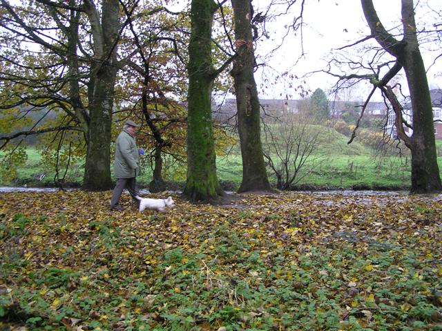 File:Cranny, Omagh - geograph.org.uk - 1049026.jpg