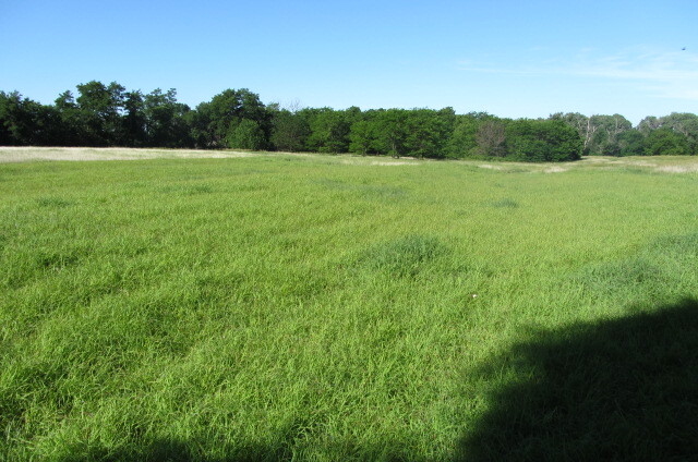 File:Deep ruts and swales in a green grass pasture at Swanson Swales in Rice County, KS (f172ef326c4247b78adbbc59acf171b6).JPG