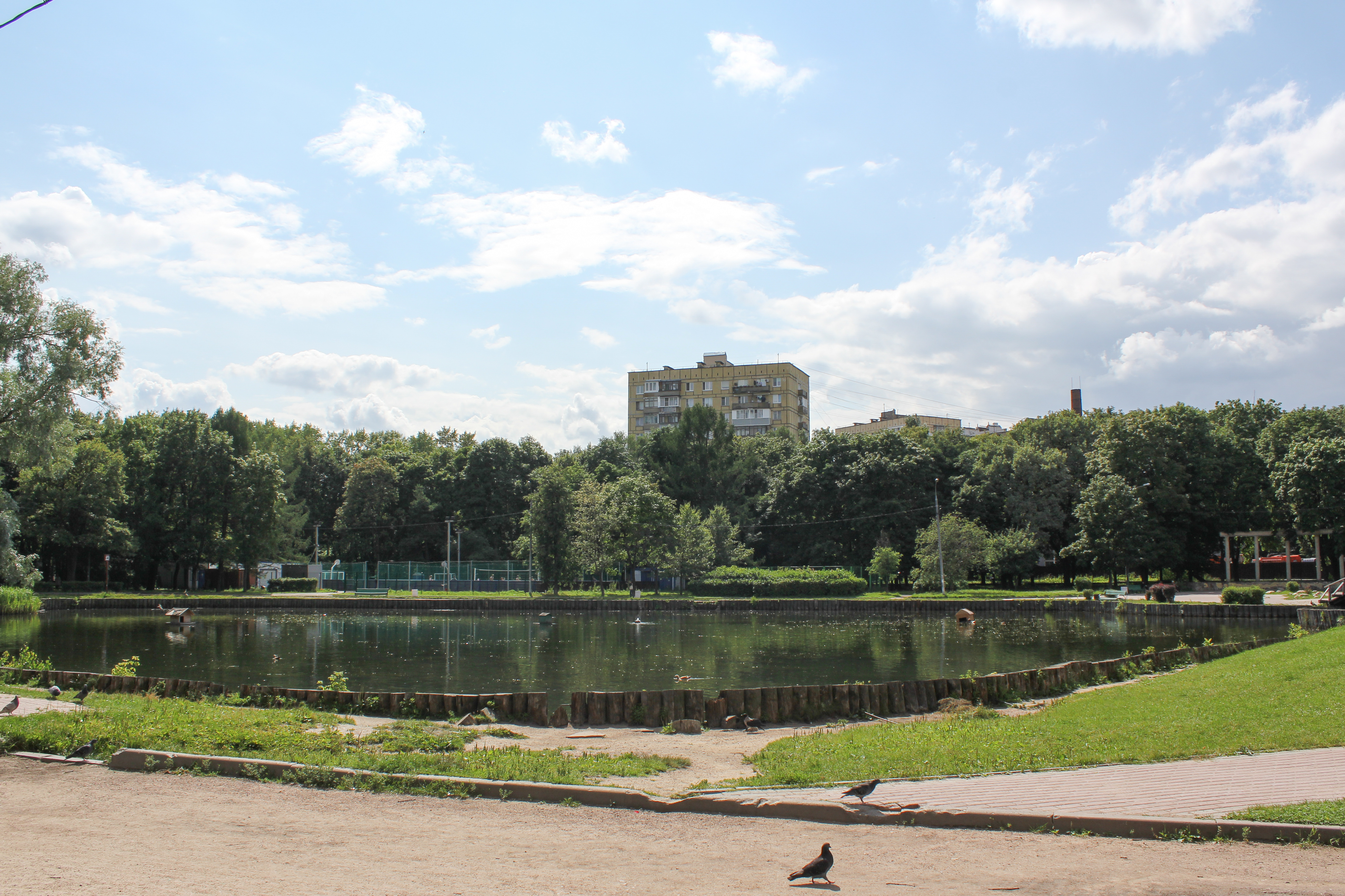 Парк дубки. Дубки Москва. Парк Дубки Тимирязевская фото. Дубки Москва пруд.