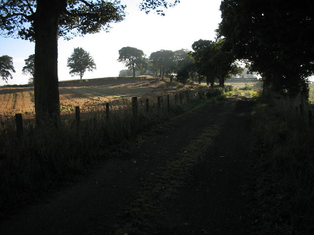 File:Early morning at Cuttlehill - geograph.org.uk - 30434.jpg