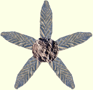 File:Ediacaran Barnstar.png