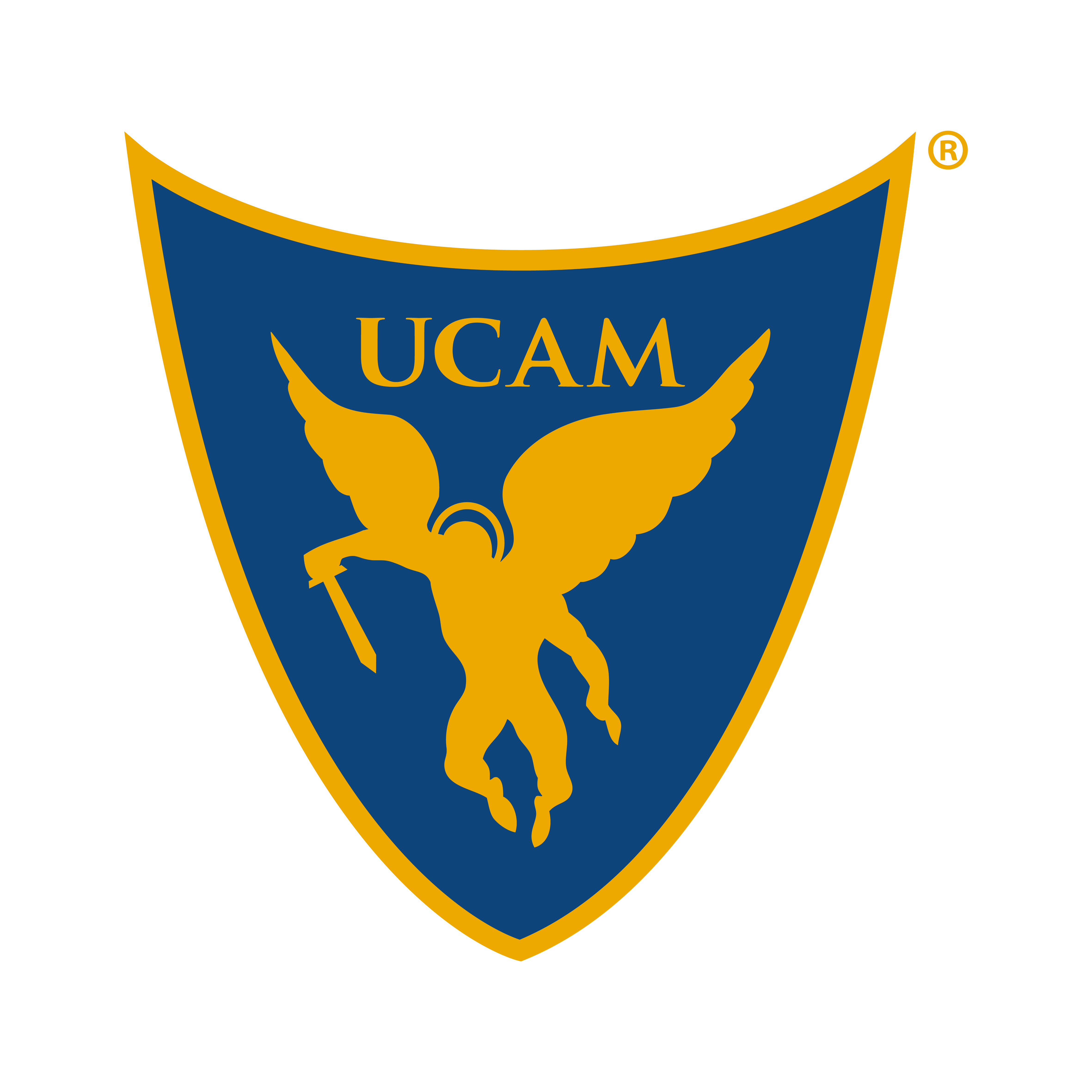 UCAM Murcia CF - Wikipedia