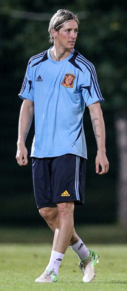 File:Fernando Torres Euro 2012.jpg - Wikimedia Commons