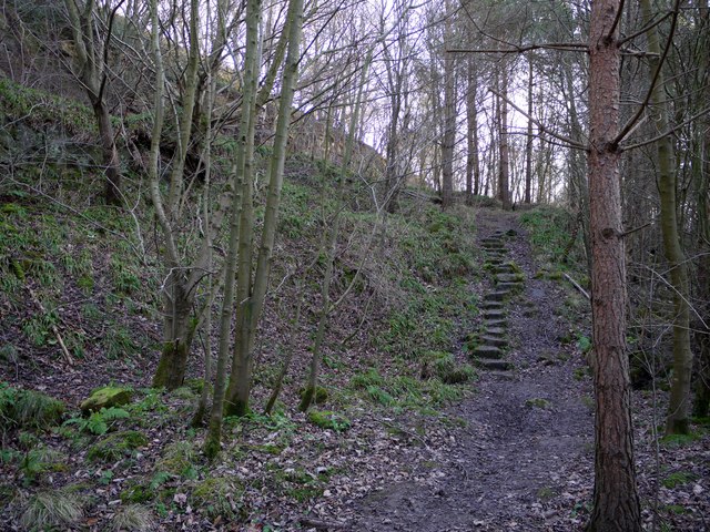 File:Footpath along the east side of Whittle Dene - geograph.org.uk - 1116027.jpg