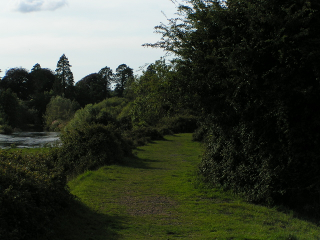 File:Former railway track heading to Brampford Speke - geograph.org.uk - 1434454.jpg