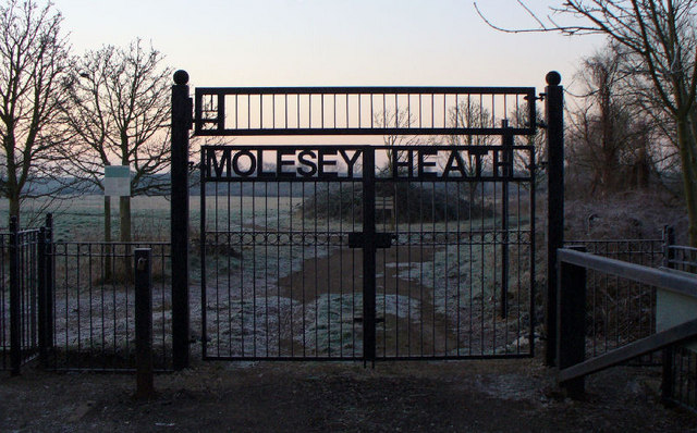 File:Gateway to Molesey Heath - geograph.org.uk - 1102560.jpg