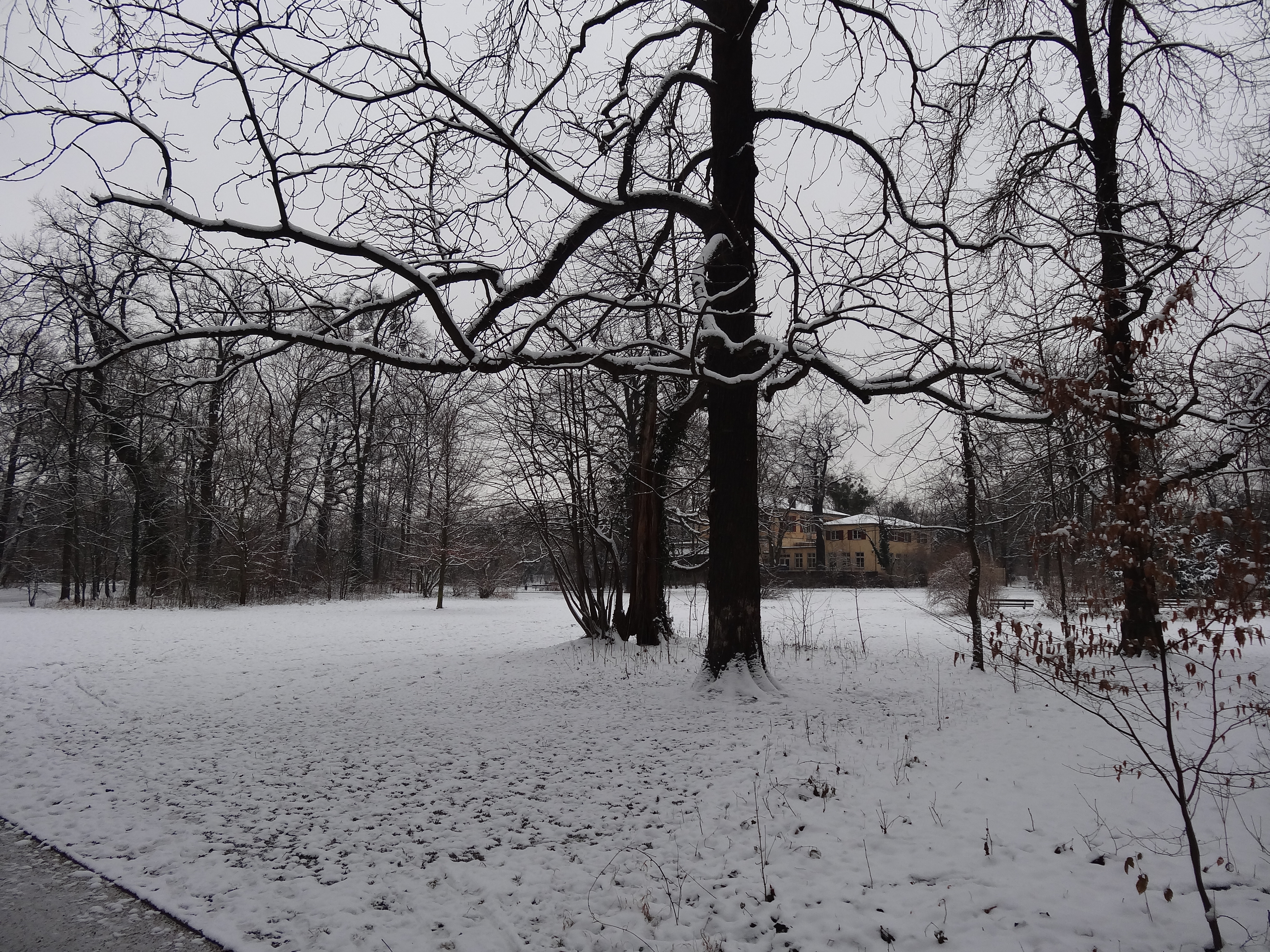 File Grosser Garten Dresden In Winter 1091 Jpg Wikimedia Commons