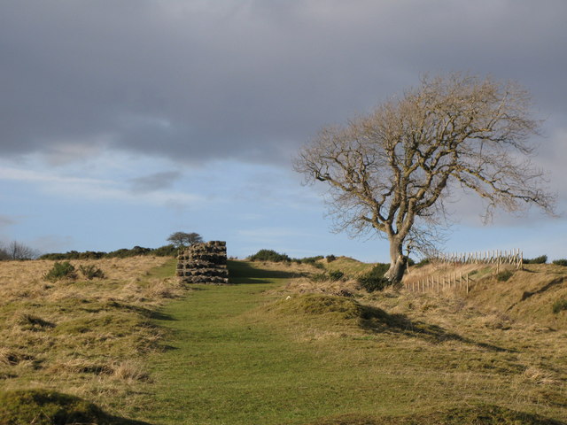 File:Hadrian's Wall between Limestone Corner and Black Carts (3) - geograph.org.uk - 1137567.jpg