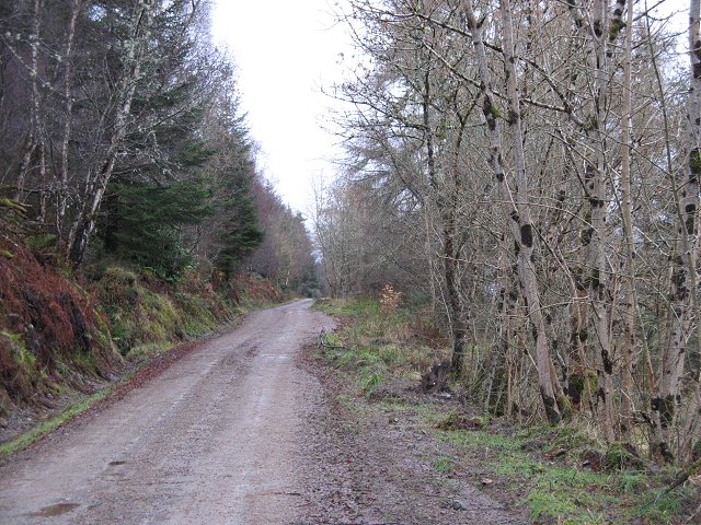 File:Invergarry and Fort Augustus Railway - geograph.org.uk - 320812.jpg