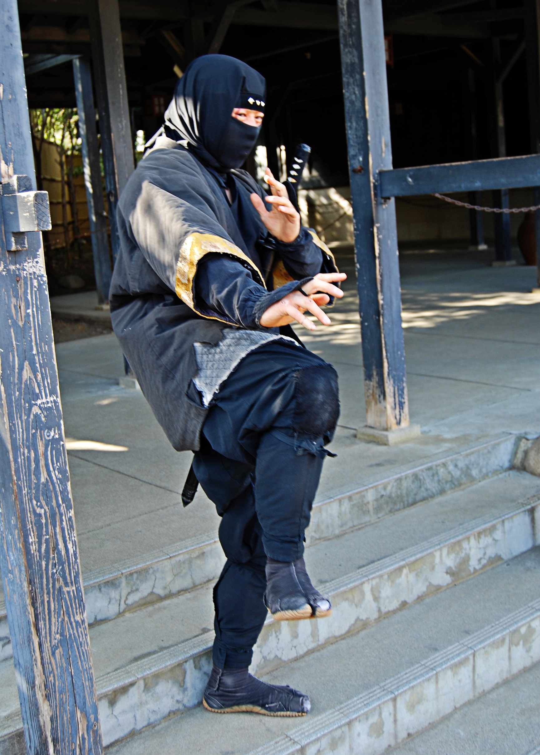 File:Ninja in Edo Wonderland.jpg - Wikipedia