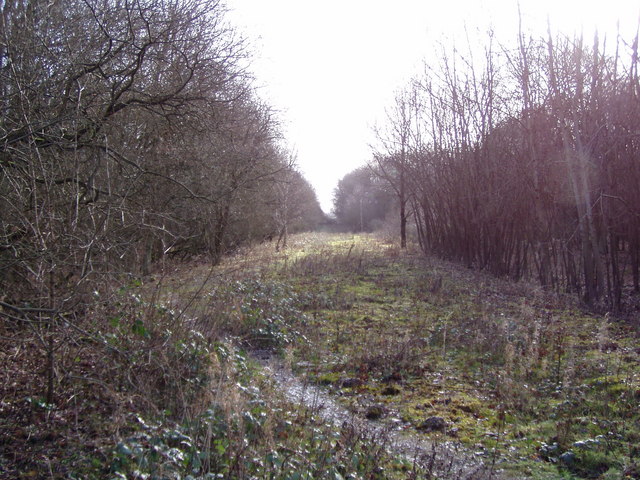 File:Old road looking south from the fence of the M3 - geograph.org.uk - 1126917.jpg