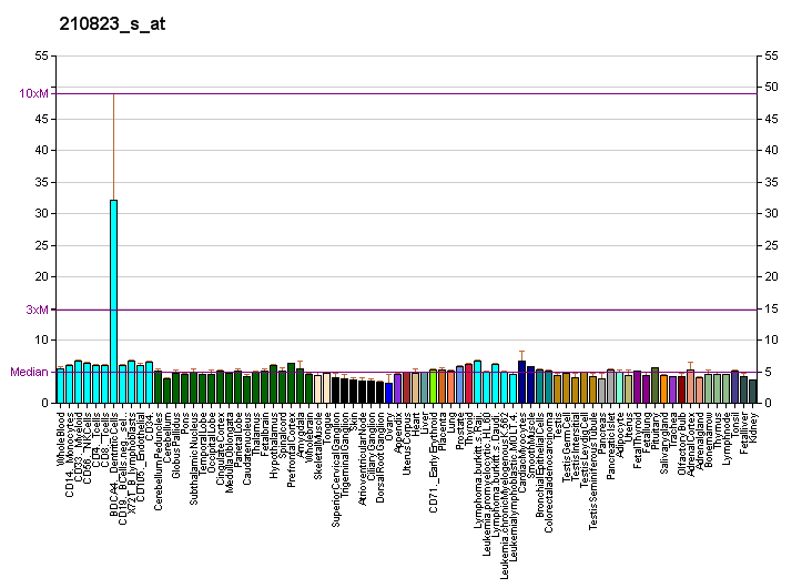 File:PBB GE PTPRS 210823 s at fs.png