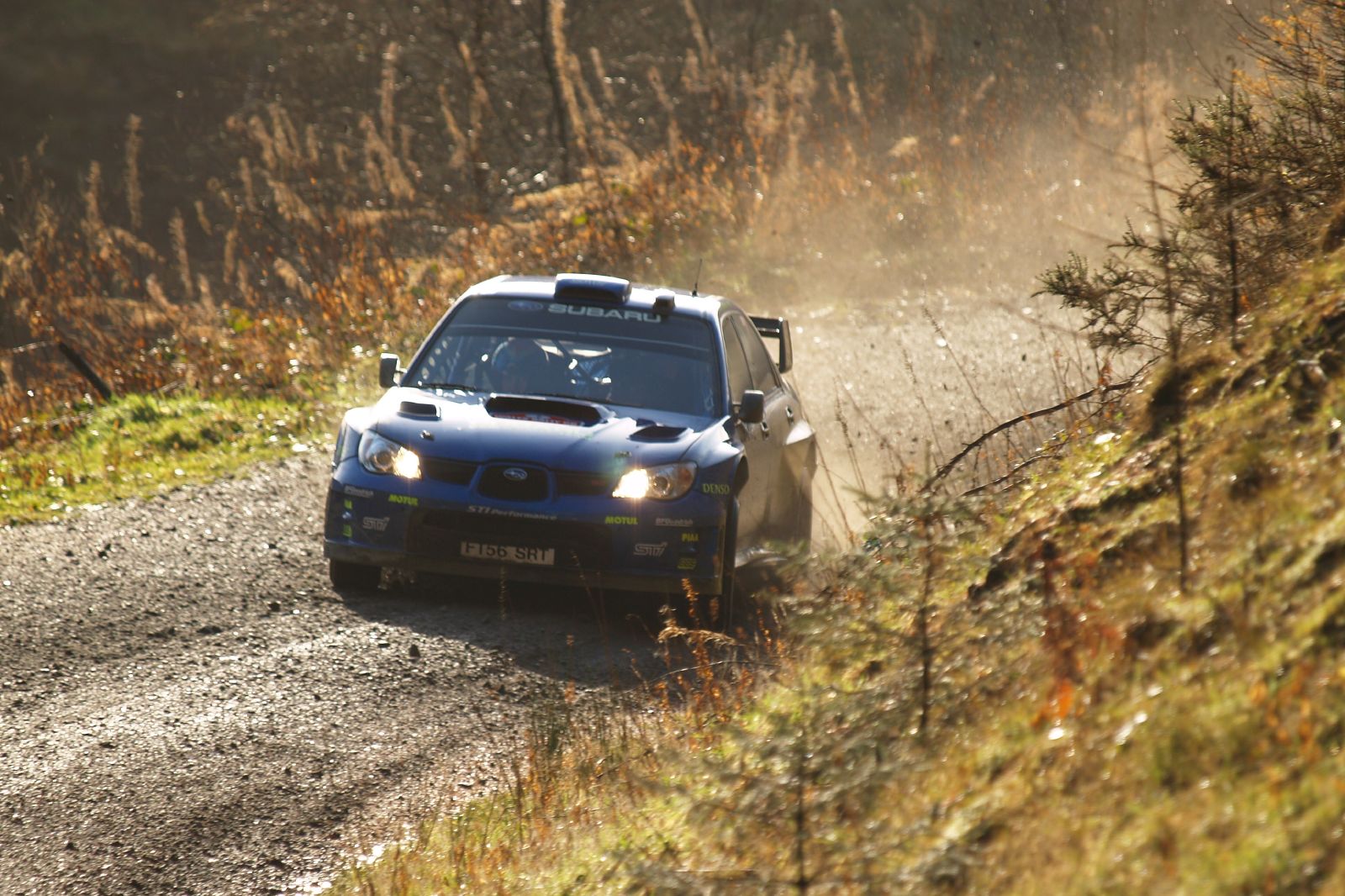 Solberg РіРѕРЅС‰РёРє Subaru 2007