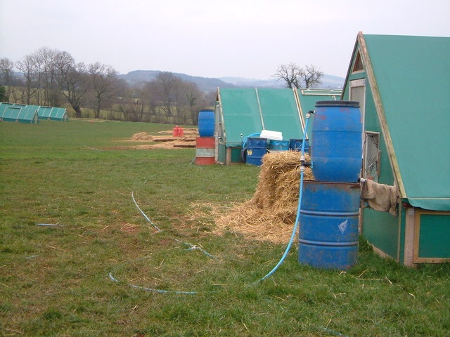 File:Poultry accommodation at Upton Pyne - geograph.org.uk - 137697.jpg