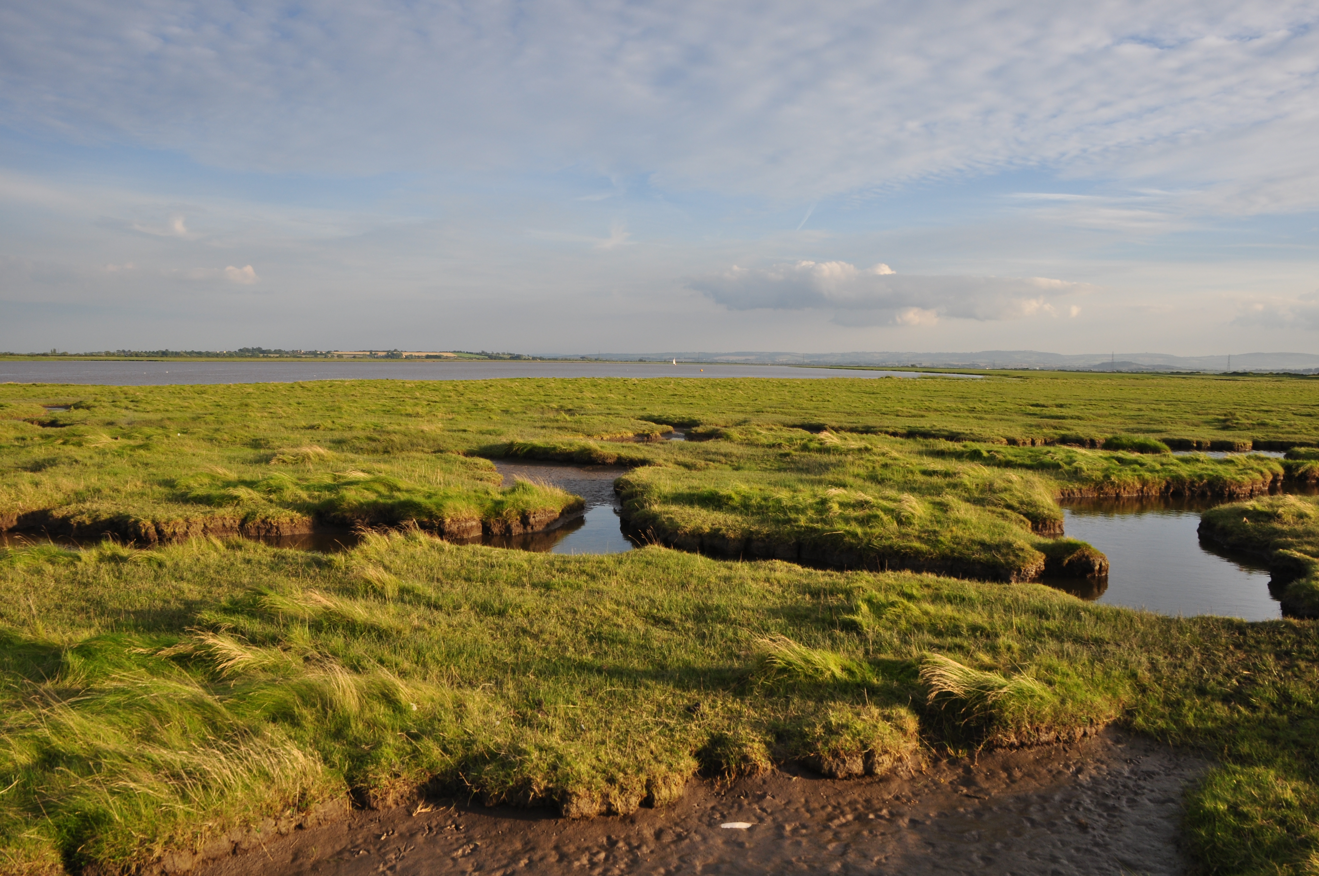 Natural reserve. Датский заповедник. Седжмур болота. Седжмур.