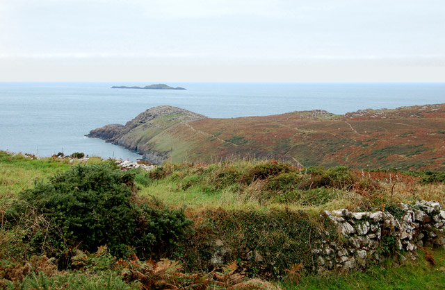 St David's Head