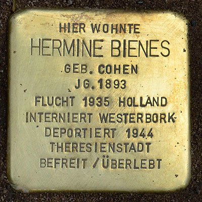 File:Stolperst sophienstr 12 bienes hermine.jpg