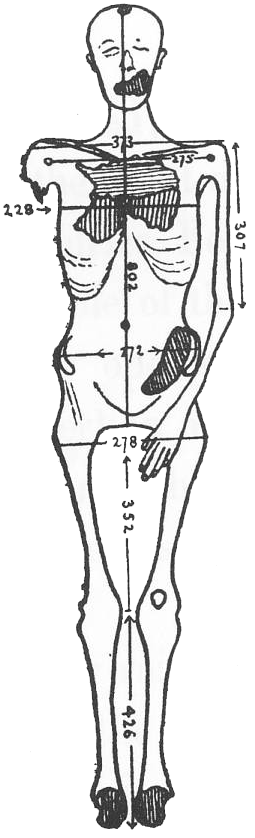 The “Younger Lady” from KV 35 TheYoungerLady-61072-GESmith%27sFullBodySketch-Diagram10-TheRoyalMummies-1912