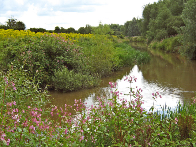 The River Tone at Hankridge - geograph.org.uk - 1413786