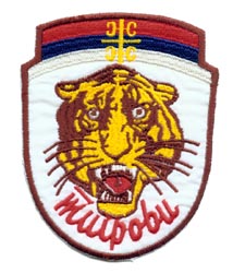 File:Tigers unofficial logo.jpg