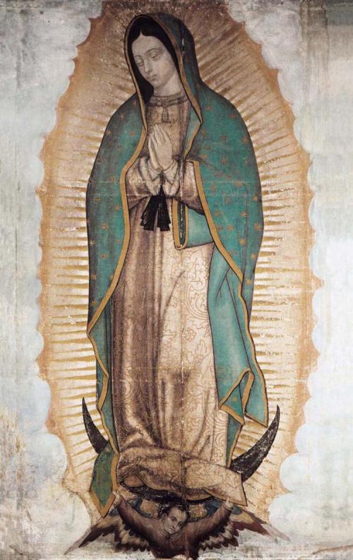 Imágenes de la Virgen de Guadalupe