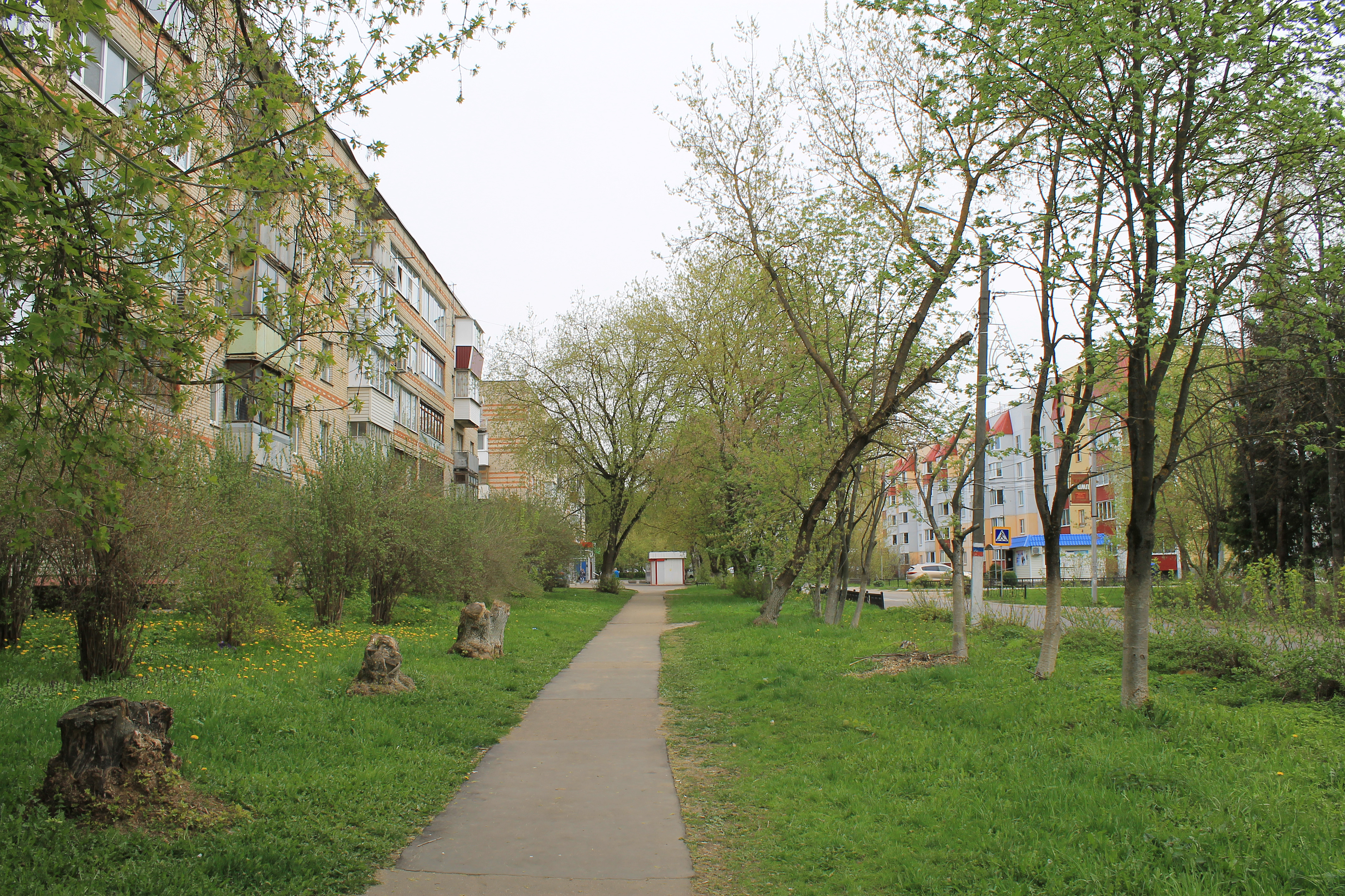 Село новый быт. Новый быт 13. Улица в селе плодовый Советская. Новый быт ФИИЦ. Новый быт работа