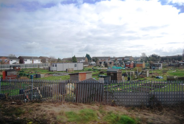 File:Allotment by the railway, Royston - geograph.org.uk - 4166783.jpg