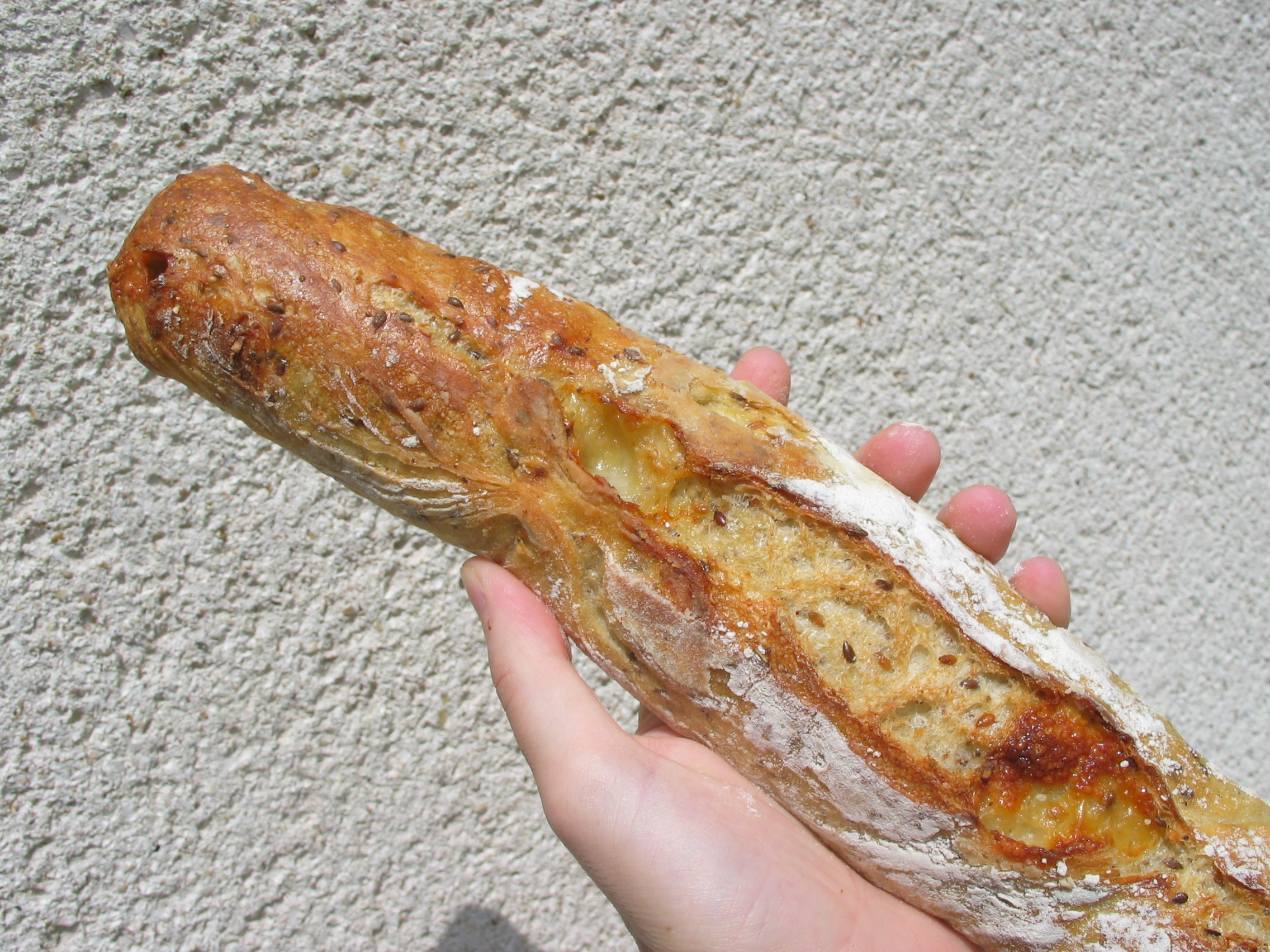 Baguette with cheese.jpg