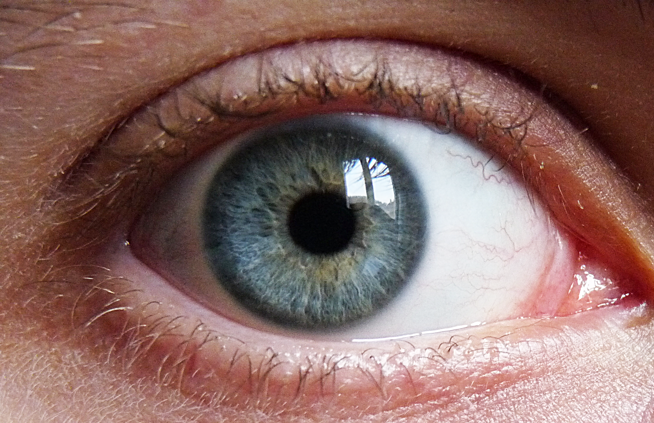 file-blue-green-eye-png-wikimedia-commons