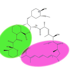 File:Chemical structure of sirolimus.jpg