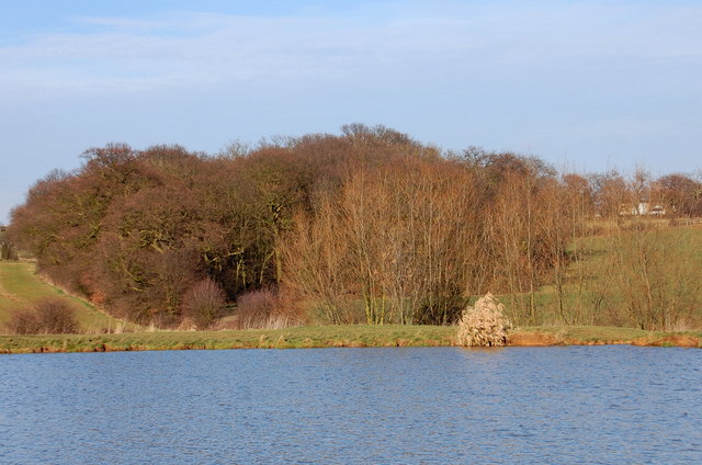 Cotton's Wood from the lake - geograph.org.uk - 1172235