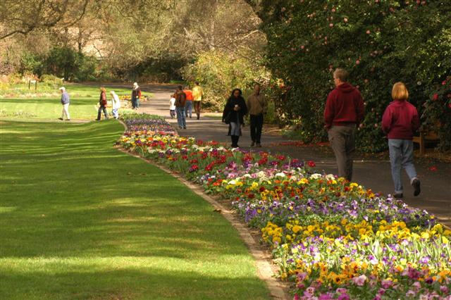 File Descanso Gardens Walkway Jpg Wikimedia Commons