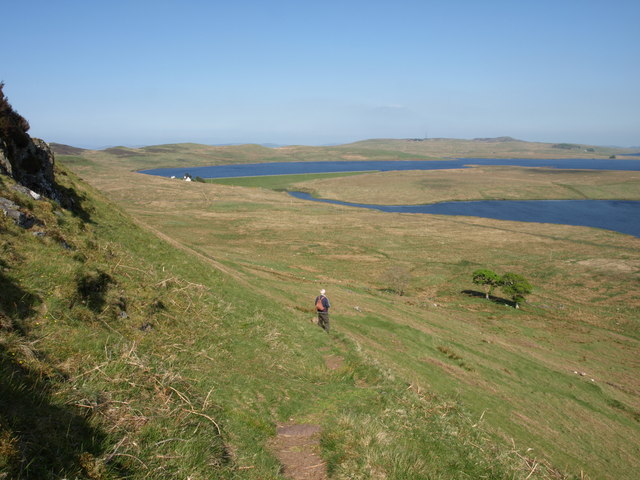 File:Descending Hillside hill - geograph.org.uk - 803578.jpg