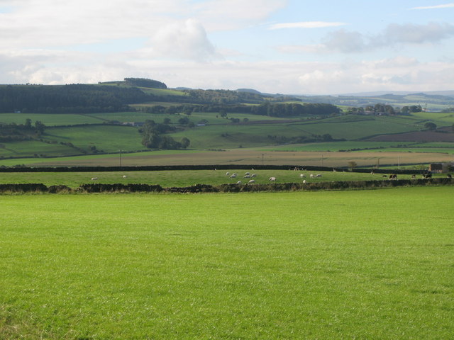 File:Farmland east of Fourstones - geograph.org.uk - 2116545.jpg