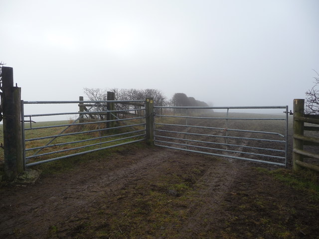 File:Footpath junction above Tadymoor Farm near Hopesay - geograph.org.uk - 1712362.jpg