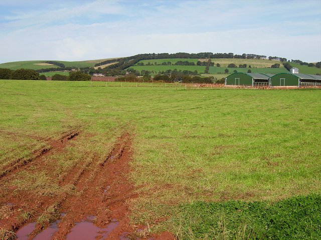 File:Free range. - geograph.org.uk - 242673.jpg