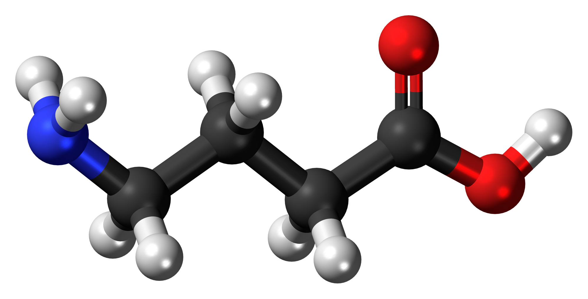 γ-aminosmörsyra eller gamma-aminosmörsyra, allmänt känd under förkortningen GABA, är den vanligaste formen av γ-aminosmörsyra.