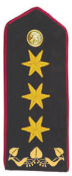 File:Generálporučík HZS ČR.png